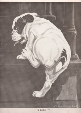 picture1